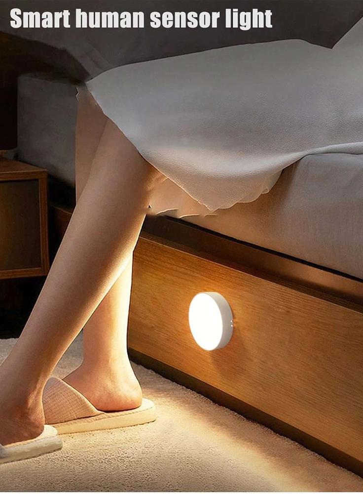 Multi-Functional Smart Human Sensor Light