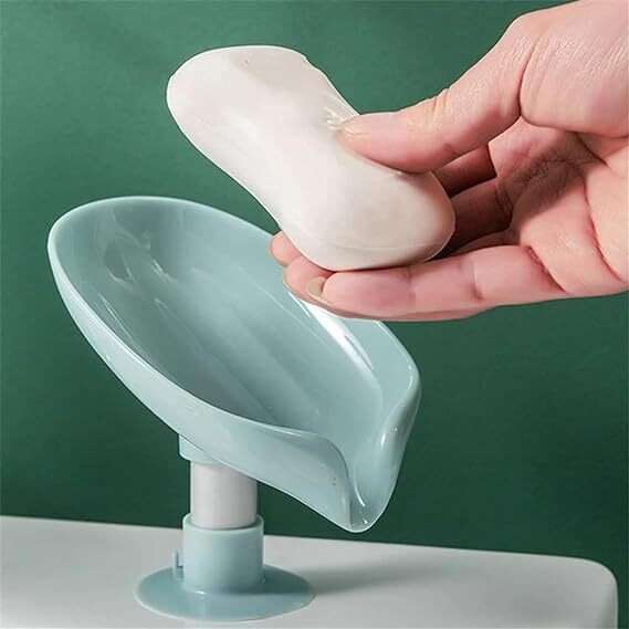 Creative Lotus Leaf Soap Holder (Pack Of 3)
